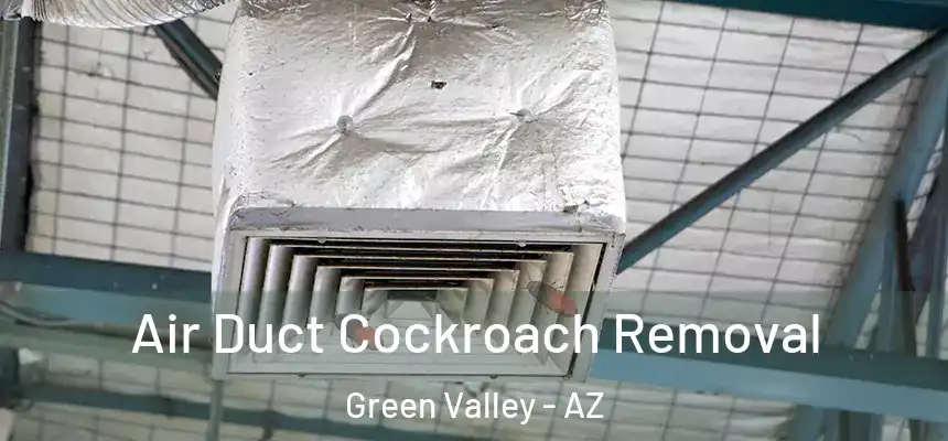 Air Duct Cockroach Removal Green Valley - AZ
