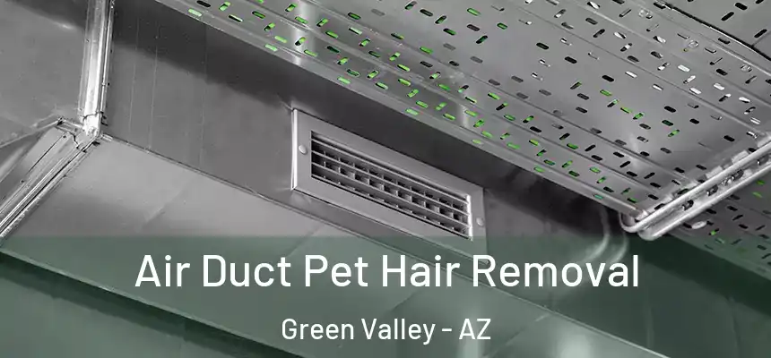  Air Duct Pet Hair Removal Green Valley - AZ