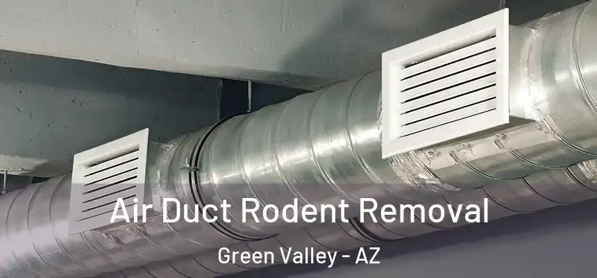  Air Duct Rodent Removal Green Valley - AZ