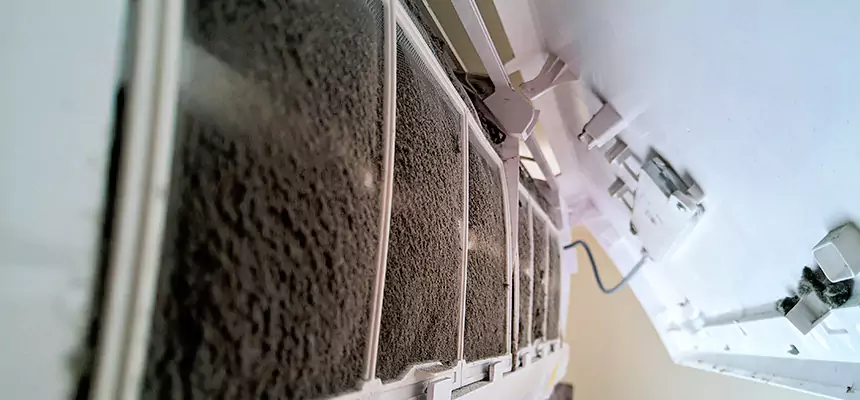 Preventive Air Duct Bacteria Removal in Green Valley