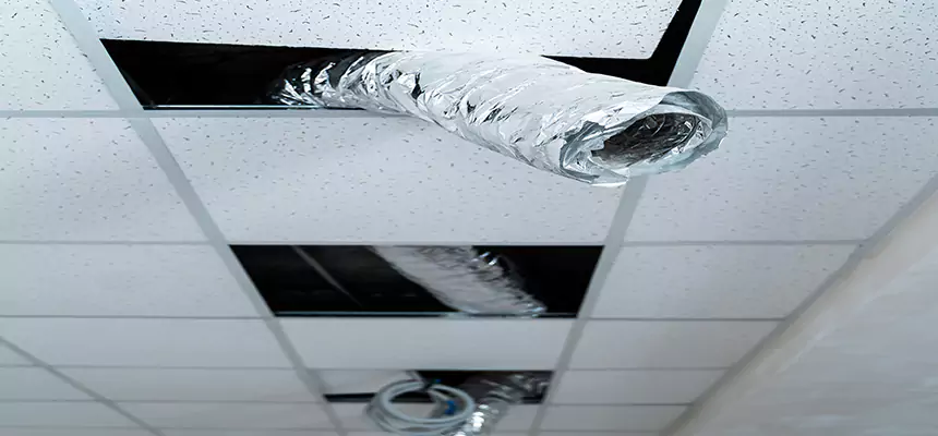 Affordable HVAC Sanitizing After Pest Removal in Green Valley