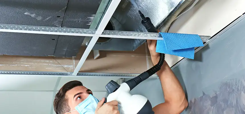 Our Air Duct Rodent Removal Services in Green Valley, AZ