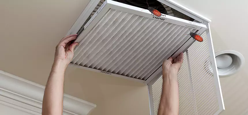 Our Insect Removal from Air Ducts Services in Green Valley, AZ