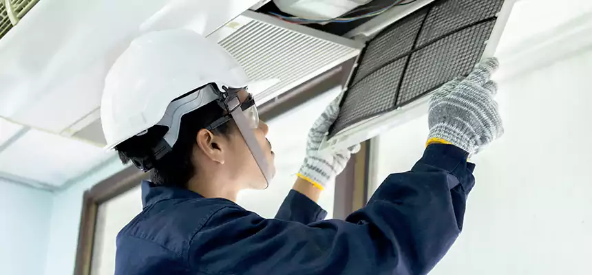 Our Mold & Mildew Removal from Air Ducts Services in Green Valley, AZ