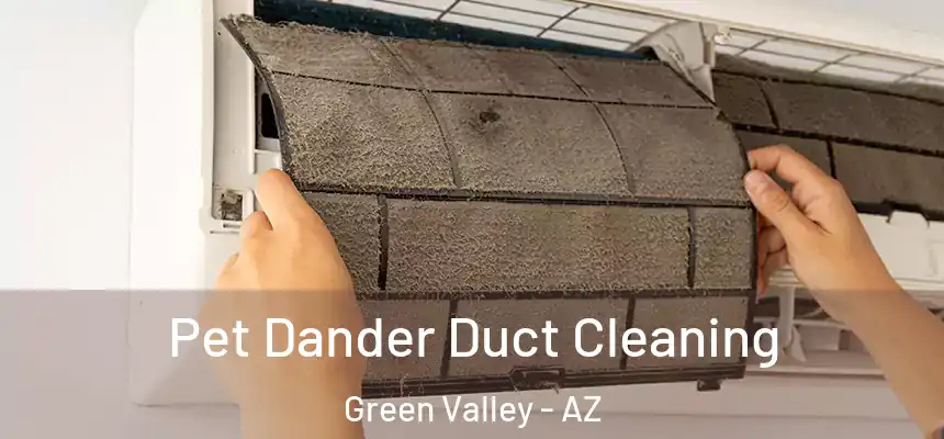 Pet Dander Duct Cleaning Green Valley - AZ