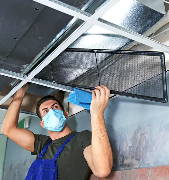 About Air Duct Bacteria Removal in Green Valley
