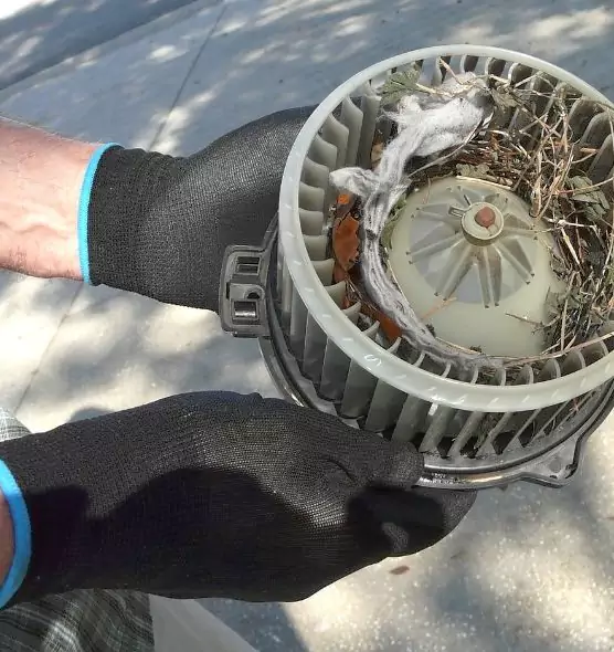 About Air Duct Mice Removal in Green Valley, AZ