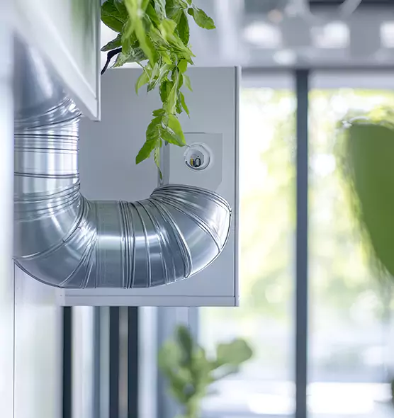 Professional Eco-Safe Dryer Vent Cleaning in Green Valley, AZ