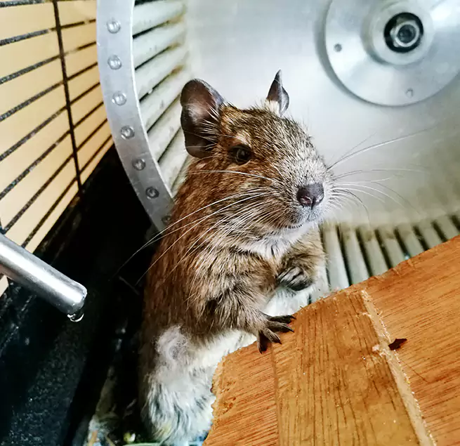 Why Homeowners & Businesses Trust Us Green Valley, AZ?