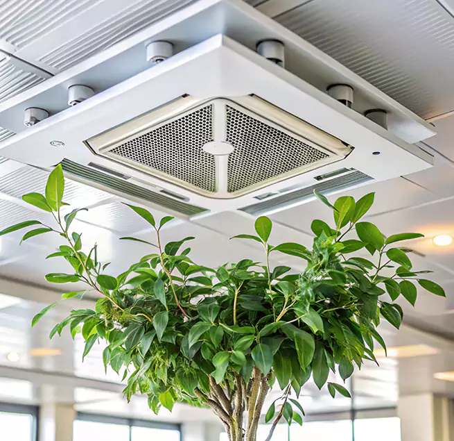 Why Homeowners & Businesses Trust Us in Green Valley, AZ